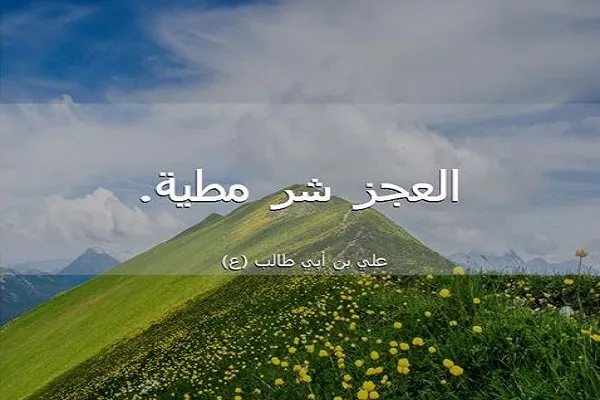 على المرء ألا يستسلم للعجز