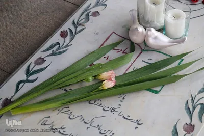 آئین سفره صلوات و محفل انس با شهدای حرم مطهر حضرت شاهچراغ(ع)