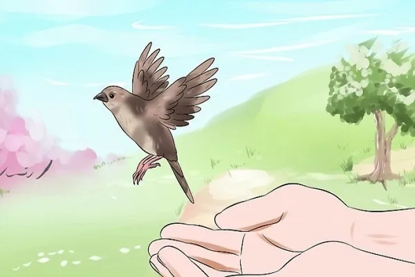 رحمة الله ظاهرة في الكون