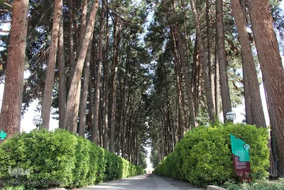 شکوه یک باغ ایرانی