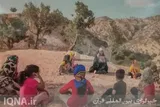 همایش دانشجویی «ایران جوان بمان» در بوشهر برگزار شد