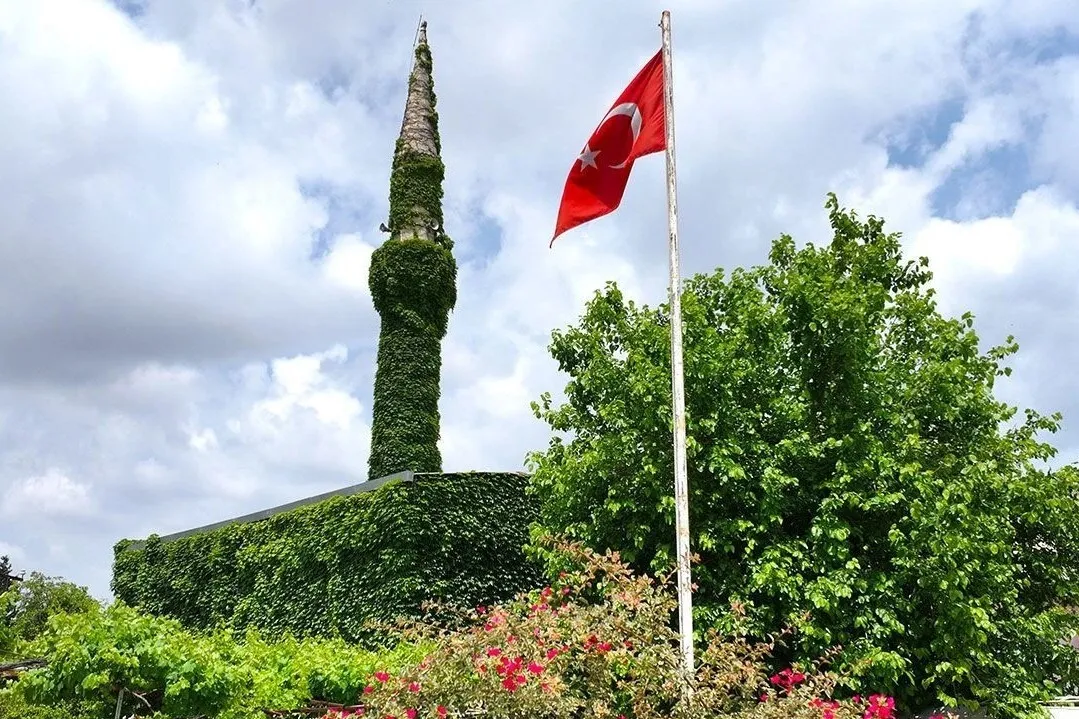 Sarmaşık kaplı cami baharın gelişiyle yeşil görünüme kavuştu