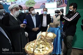 بازدید حجت الاسلام «محمدی گلپایگانی» از نمایشگاه دستاوردهای اجتماعی رزمایش همدلی برکت ستاد اجرایی فرمان امام(ره)