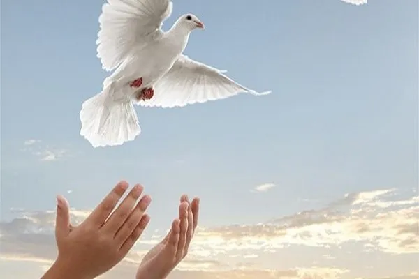 کمک بیش از 6 میلیارد ریالی جوان سقزی برای آزادسازی زندانیان جرائم مالی