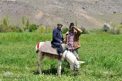 روستای تاریخی نامِق