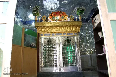 امامزاده سید غیاث الدین (ع ) مهریز استان یزد‎