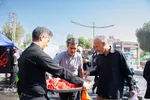 پیاده‌روی مردم نصف جهان به عشق ارباب دو جهان