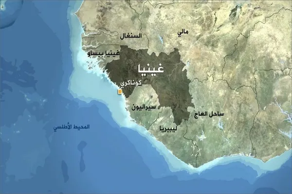 غينيا: مسابقة إقصائية في حفظ وتجويد القرآن