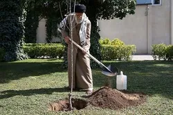 Jagoran Juyin Juya Hali Ya Jagoranci Dasa Itatuwa