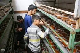 پخت سمنو در شیراز‎