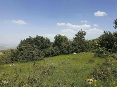 طبیعت بکر و زیبای منطقه گردشگری فندقلوی اهر