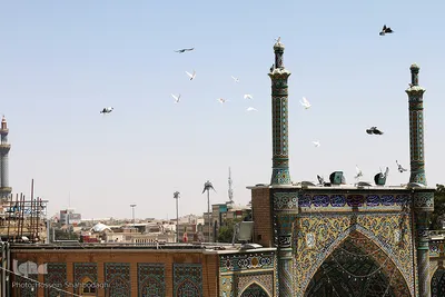 زندگی در کنار بارگاه کریمه اهل بیت(س)