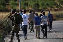Palestinian Property Vandalized by Zionist Settlers in West Bank