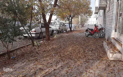 طبیعت پاییزی یزد در قاب تصویر
