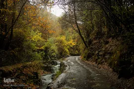 پاییز در جاغرق