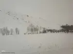طبیعت برفی مناطق شهری و روستایی اهر