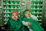 حسینیه ایران؛ سوگواره شیرخوارگان حسینی در حرم شاهچراغ