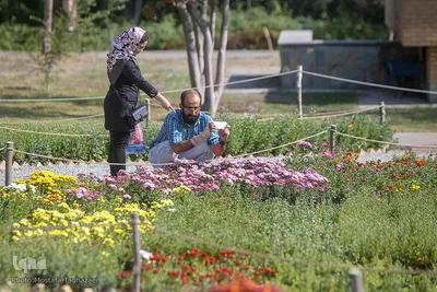 باغ گیاه شناسی ملی ایران