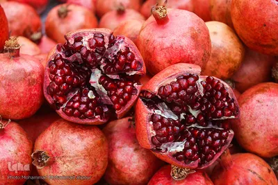 بازار خرید شب یلدا در اهواز