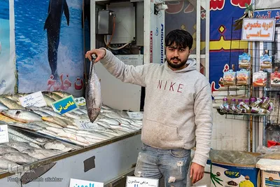 رونق بازار شب یلدا در کرج