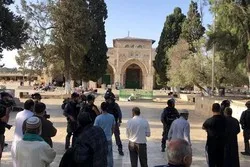 Des colons sionistes ont pris d'assaut Al-Aqsa