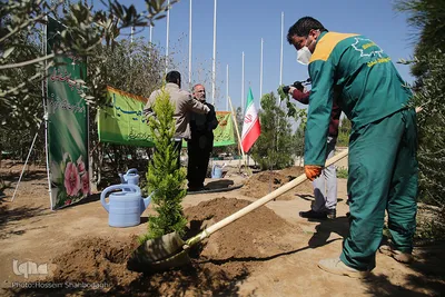 غرس سه نهال توسط بهرام سرمست استاندار قم در روز درختکاری