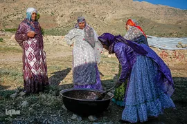 کوچ عشایر در فارس‎