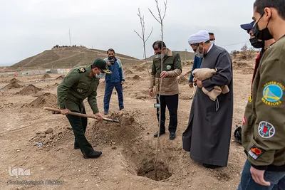 بزرگداشت هفته درختکاری در سپاه امام حسن مجتبی (ع) استان البرز‎‎