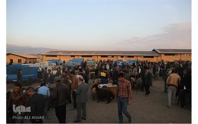 بازار فروش دام در آستانه عید قربان/ اردبیل(سال۹۴)