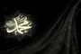 «اخلاق نبوی» حلقه مفقوده جوامع بشری