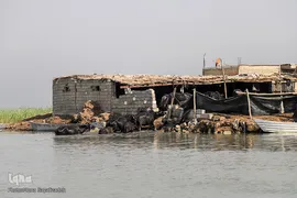 تالاب شادگان