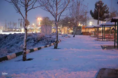 بارش برف در شهرستان اهر