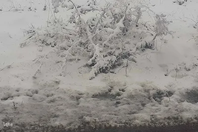 بارش برف بهاری در ارتفاعات روستایی اهر