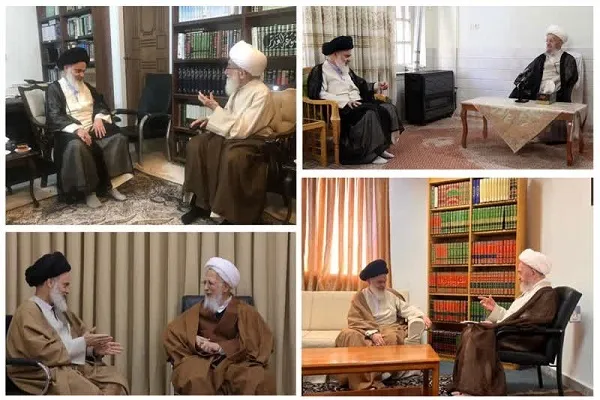 آیت‌الله حسینی بوشهری با مراجع تقلید دیدار و گفت‌وگو کرد