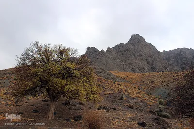 طبیعت پاییزی خراسان‌جنوبی