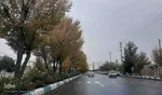 طبیعت پاییزی یزد در قاب تصویر
