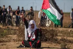 UN Silence on Israeli Crimes against Palestinians Deplored  
