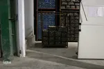 صادرات سیر؛ محصول پرخاصیت و معروف همدان