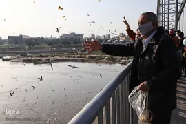 پرندگان مهاجر کارون