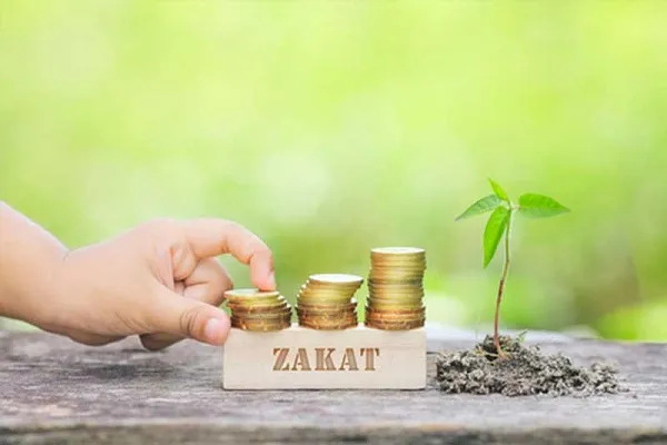 Zekat alarak Hintli Müslümanların yaşam kalitelerini artırmak