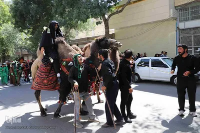 مراسم شبیه خوانی حرکت نمادین کاروان اسرای کربلا در اهر