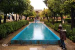 یک روز بارانی در حافظیه