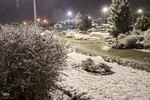 رخت سفیدبرتن ملایر‎