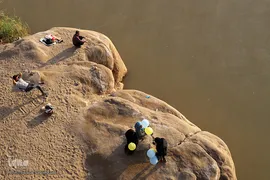 پرندگان مهاجر کارون