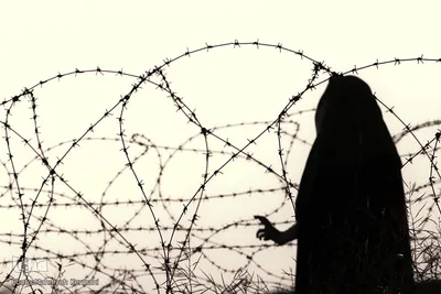 راز و نیاز دانشجویی در غروب منطقه عملیاتی کانال کمیل
