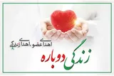 یک تصمیم؛ هزاران امید/ اهدای عضو چرخه زندگی را می‌چرخاند