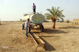 کمترین تحریری از یک زندگانی