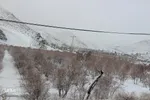 روستاهای سفیدپوش «قهستان»