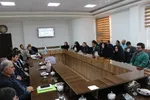 قلم پایداری
