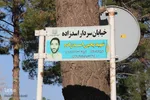 تمام شهر به نام «تو»